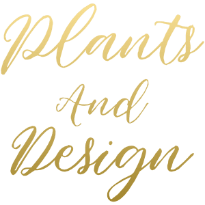 Plants And Design